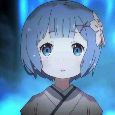 给长辈烧了纸猫第二天遇到真猫决定收养